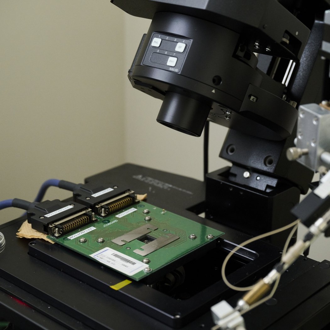 研究者のようす