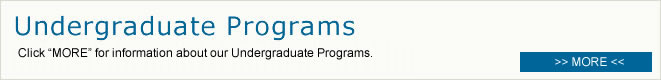 Undergraduate Program