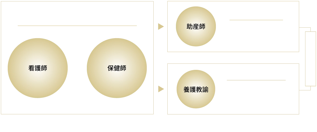 カリキュラムの図
