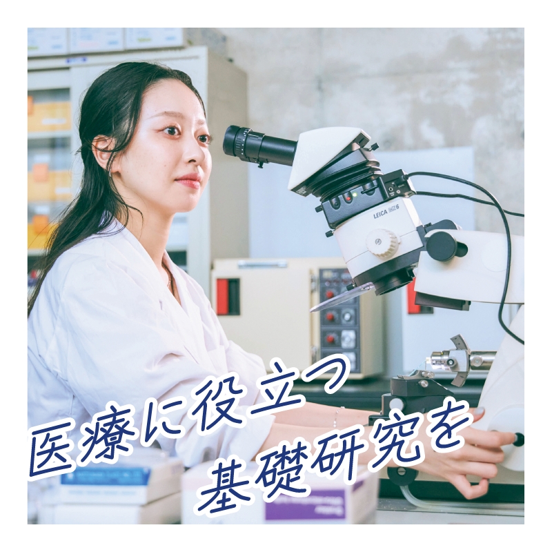 医療に役立つ基礎研究を