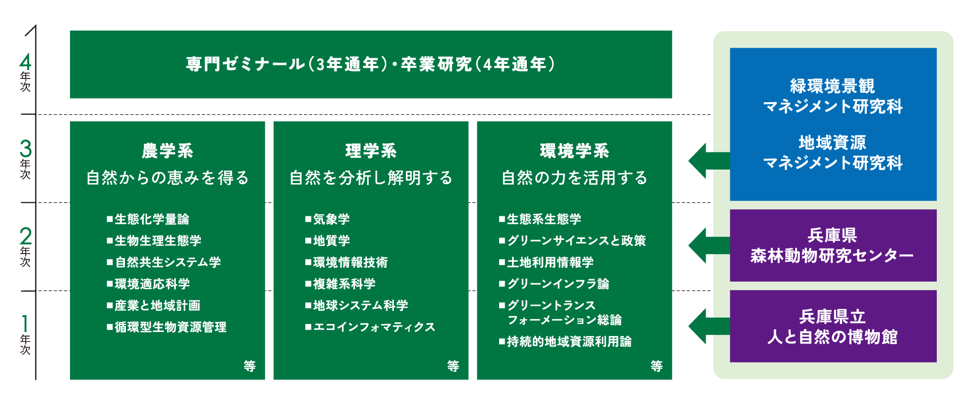 Curriculum