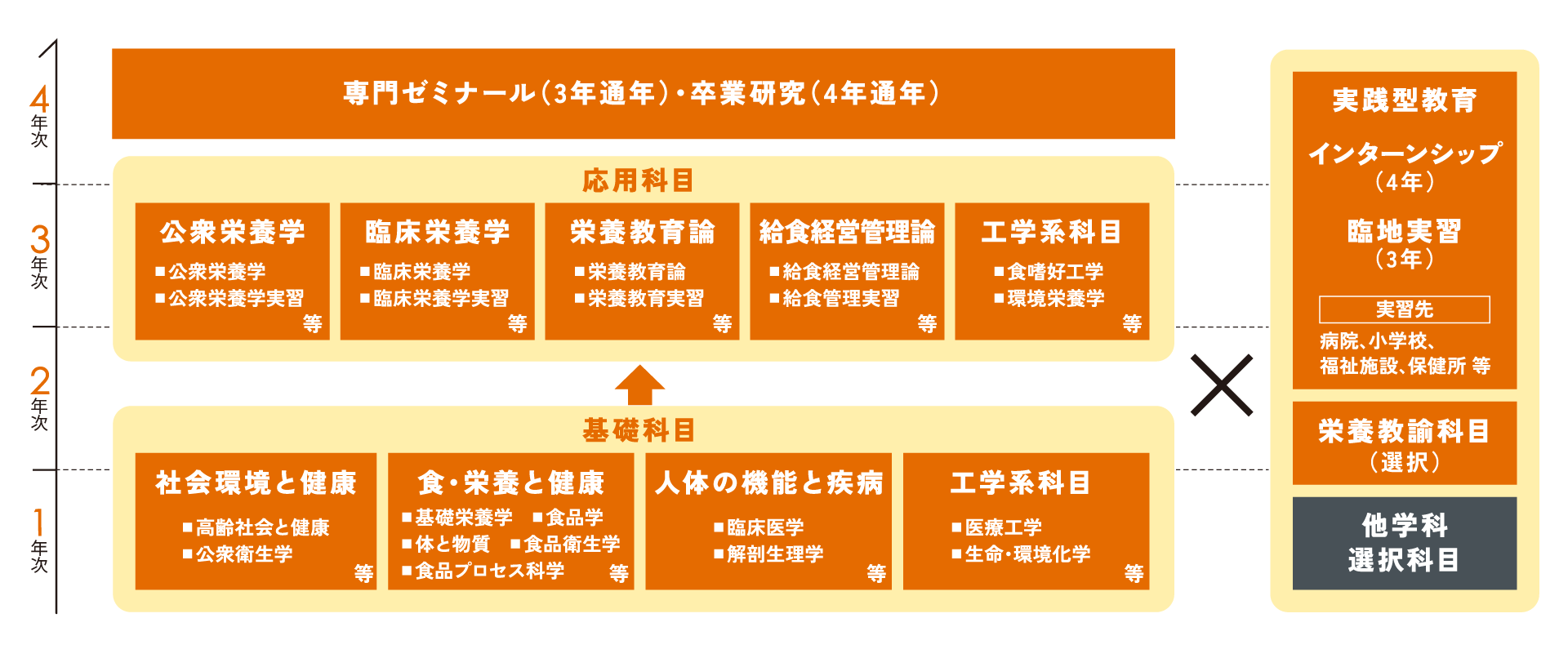 Curriculum