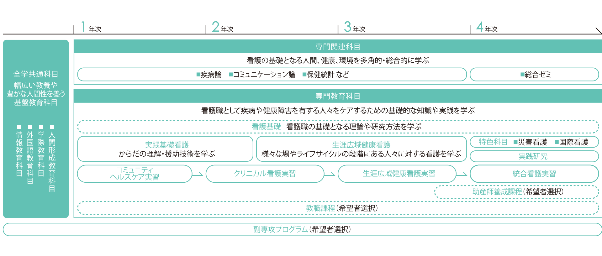 Curriculum