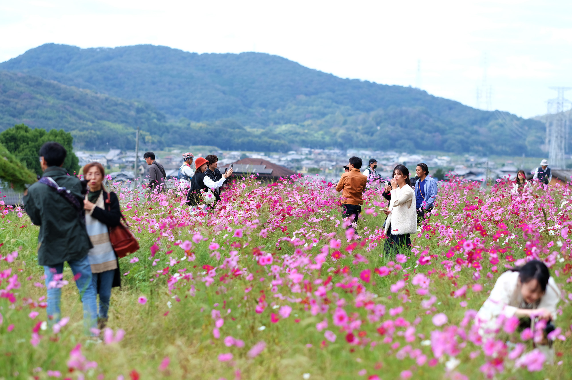 広尾東ファンクラブ