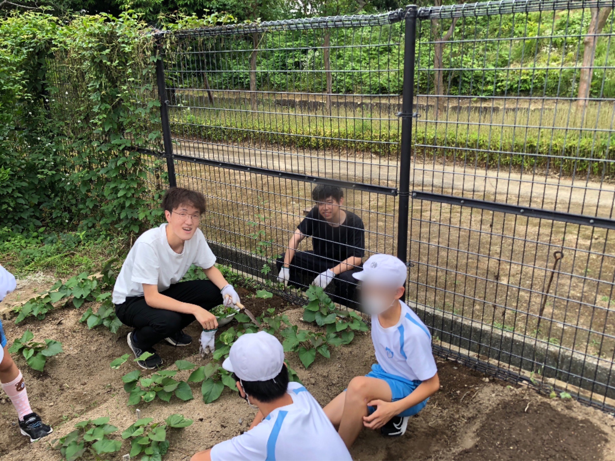 小学生との作業風景2