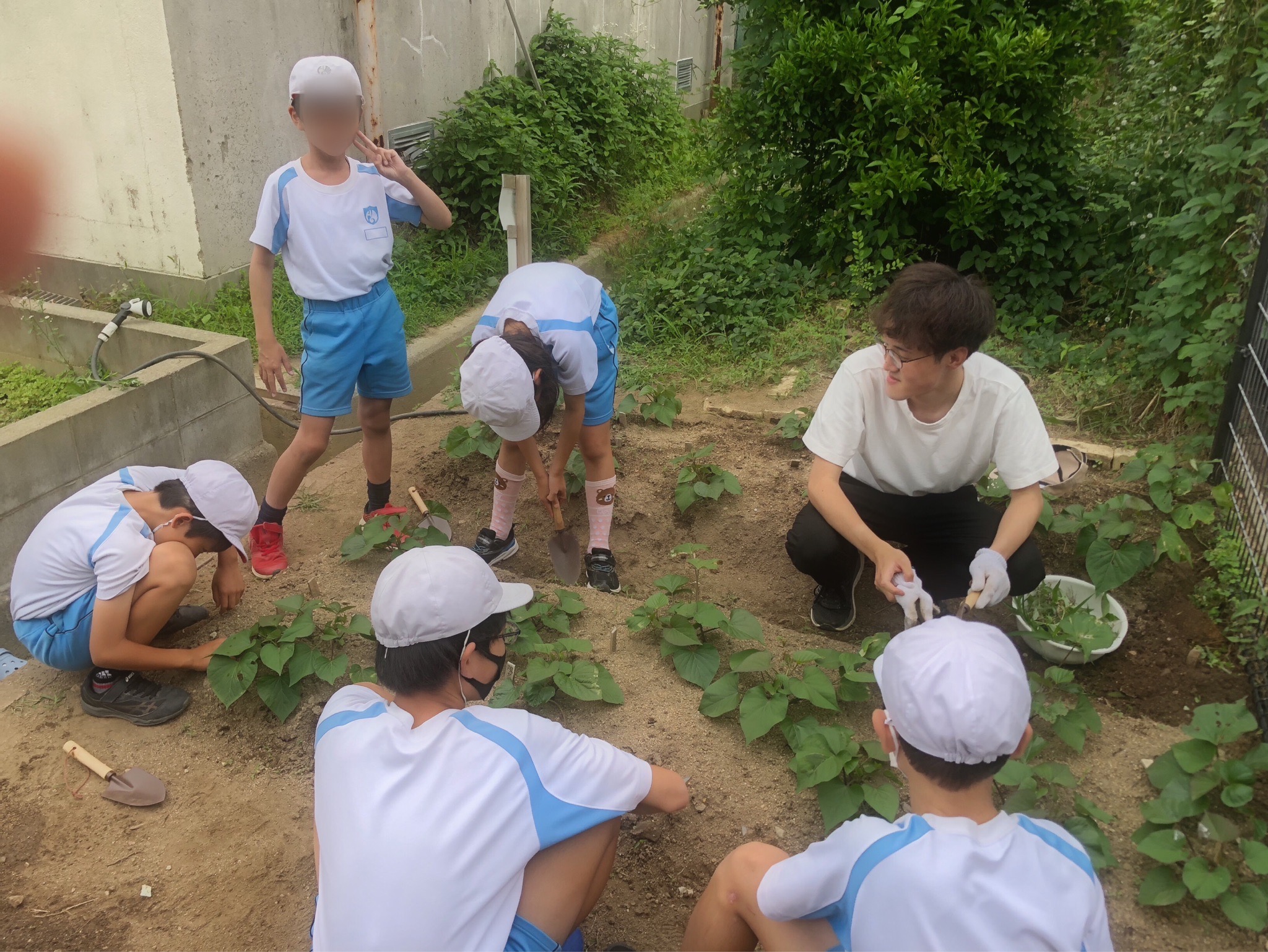小学生との作業風景3