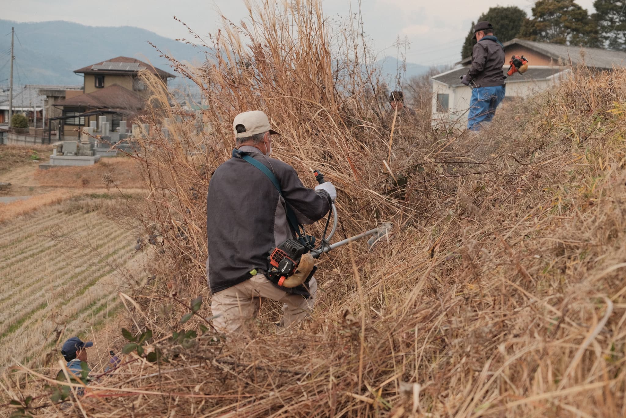 農村での草刈りの様子