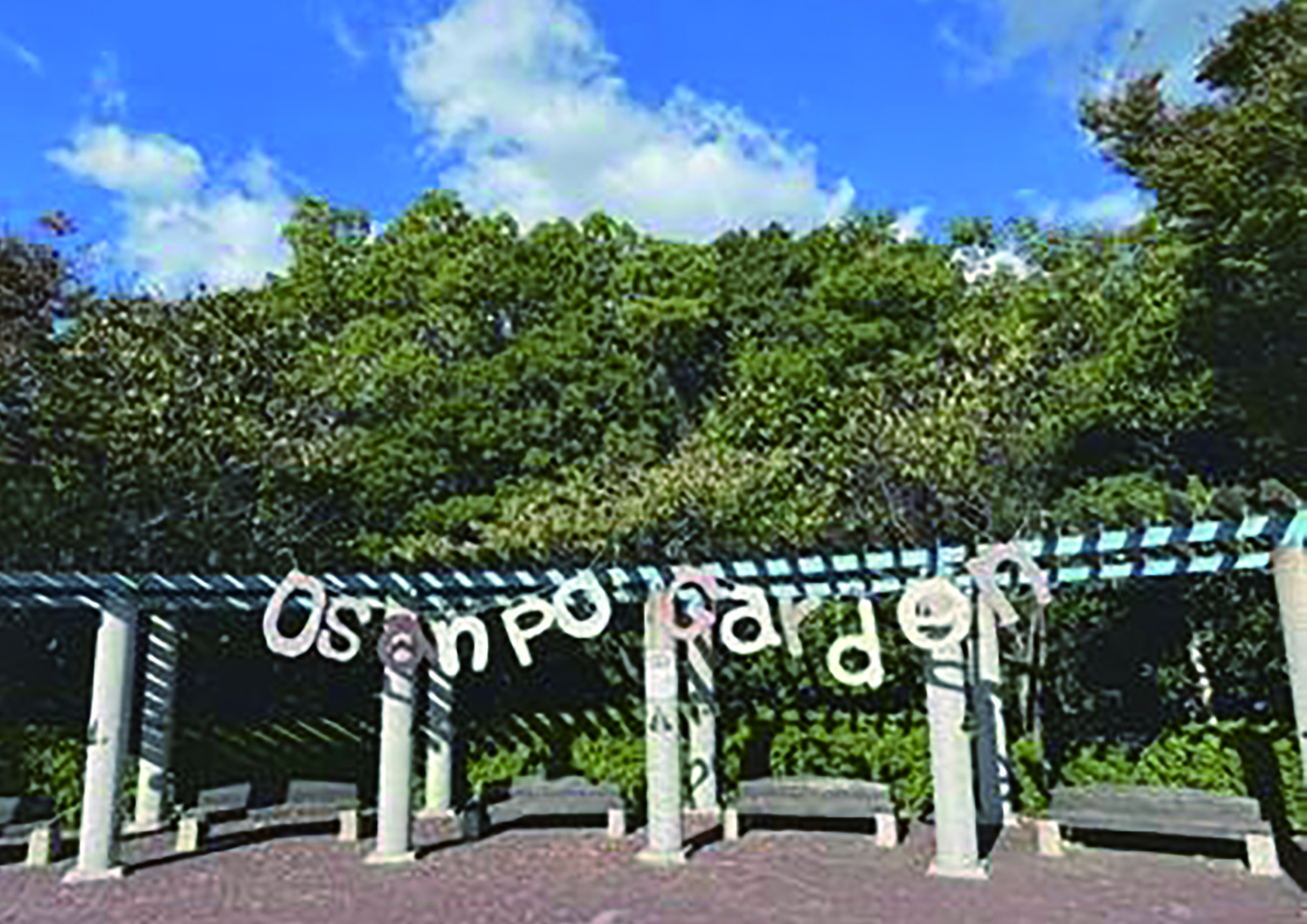 選択的なつながりづくりプロジェクト