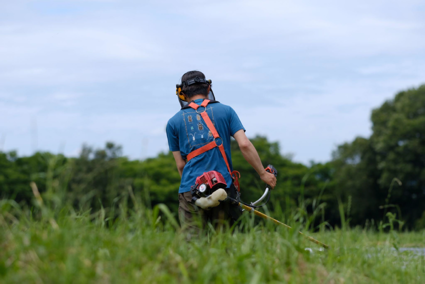 草刈りの様子