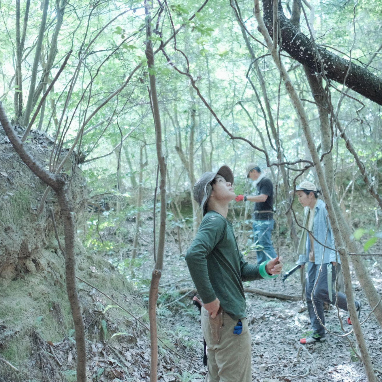 【山採りみらいグループ】