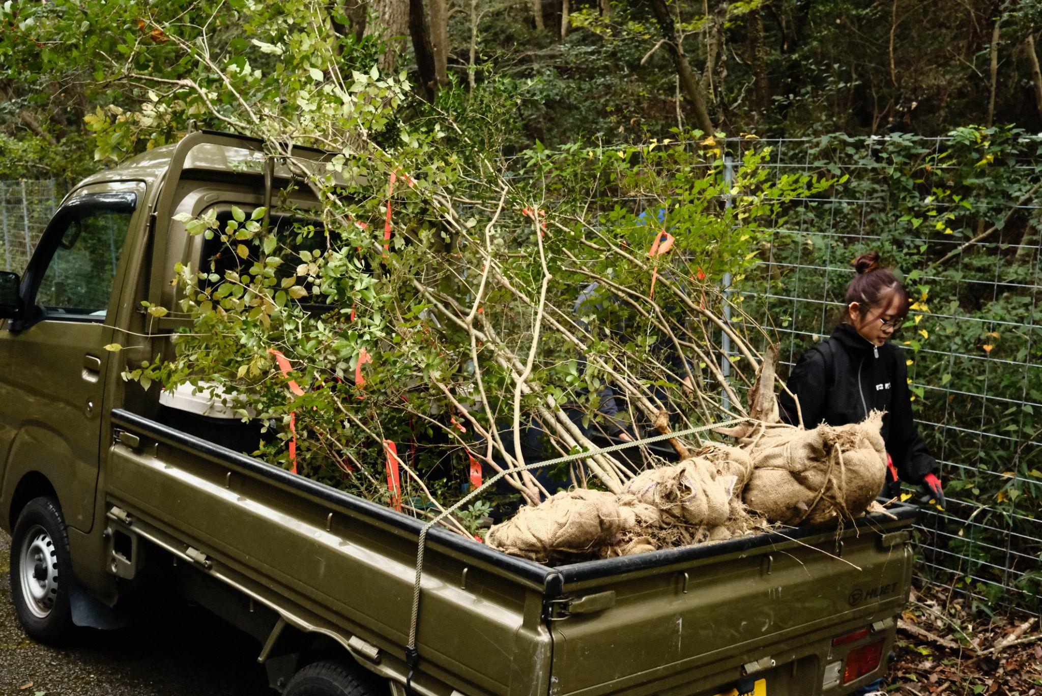 採った木々を運搬する様子