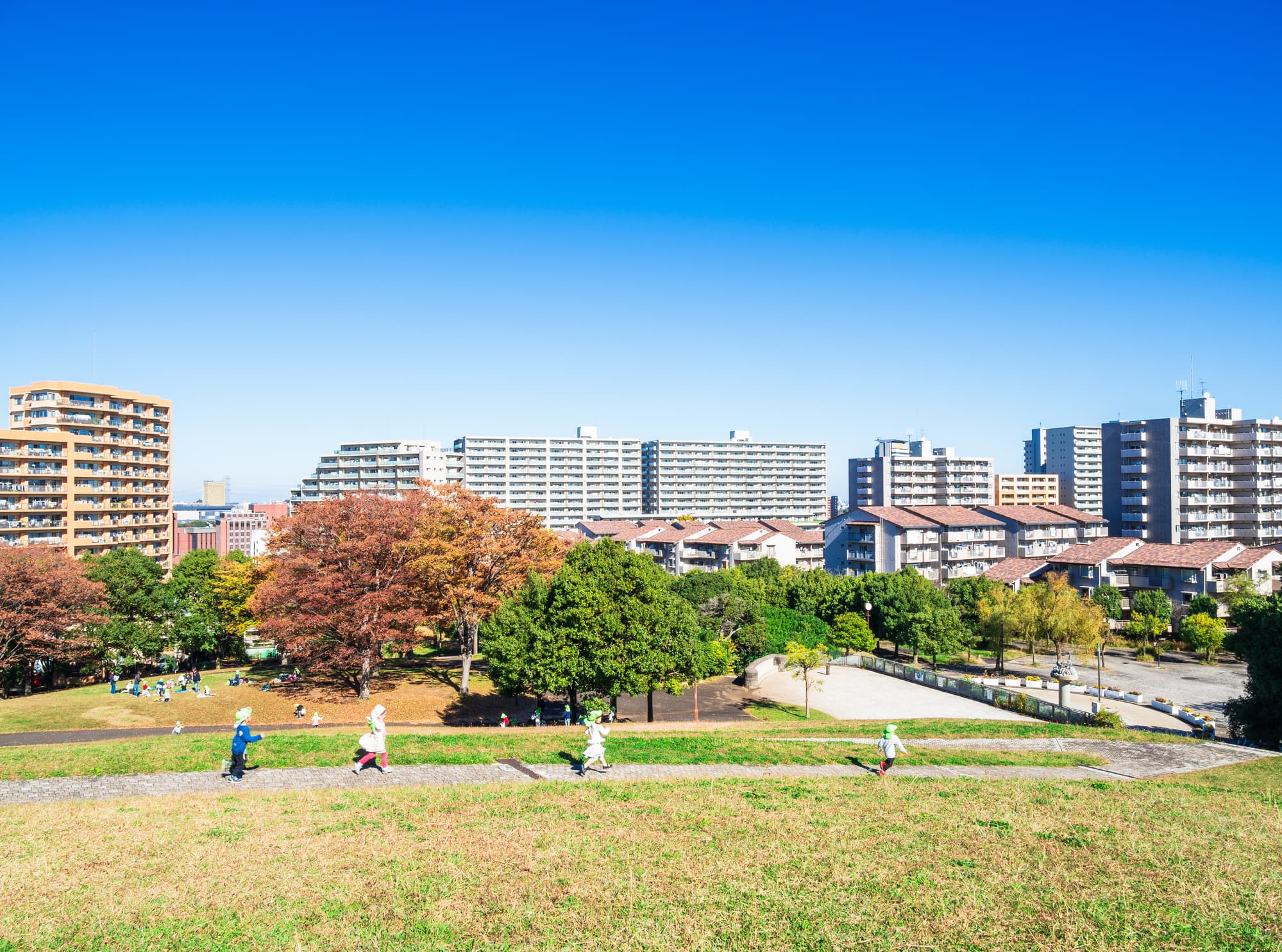 写真のイメージ